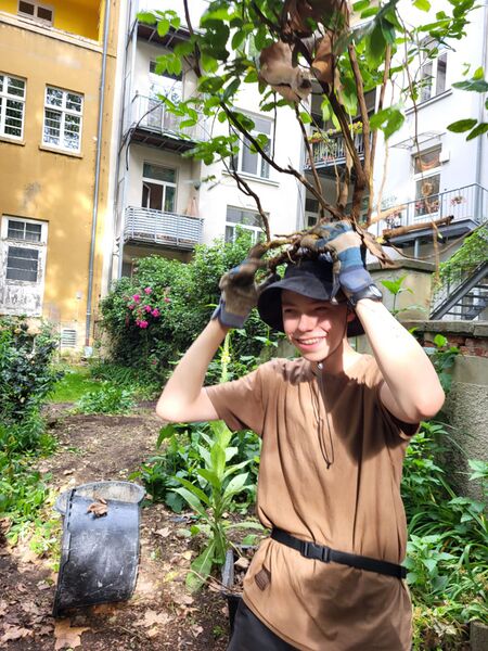 Datei:Urvolk 01.jpeg