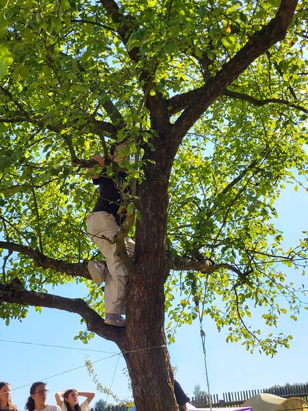 Datei:Urvolk 04.jpeg