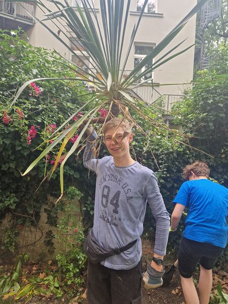 Datei:Urvolk 02.jpeg